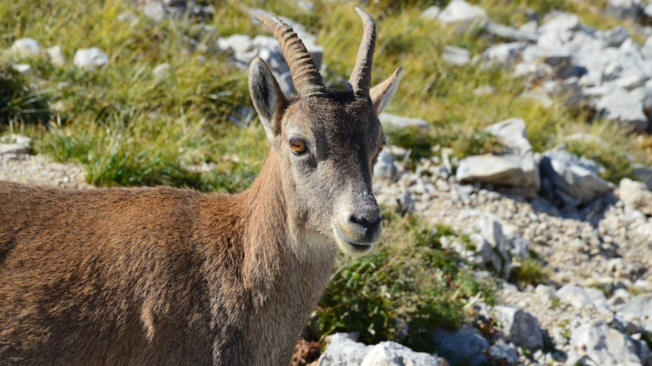 Empadronamiento en Narón: alta