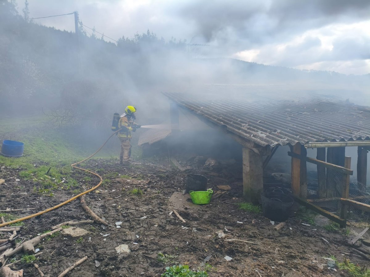 Arde un alpendre en Neda (A Coruña) y un gato resulta herido