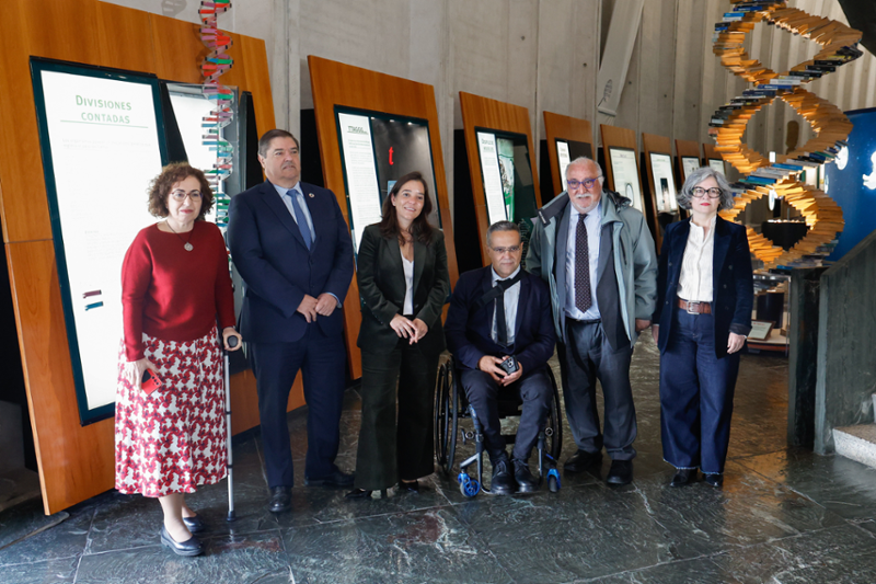 Inés Rey destaca la Rolda Peonil como ejemplo de transformación hacia una Coruña más respetuosa y segura para los peatones